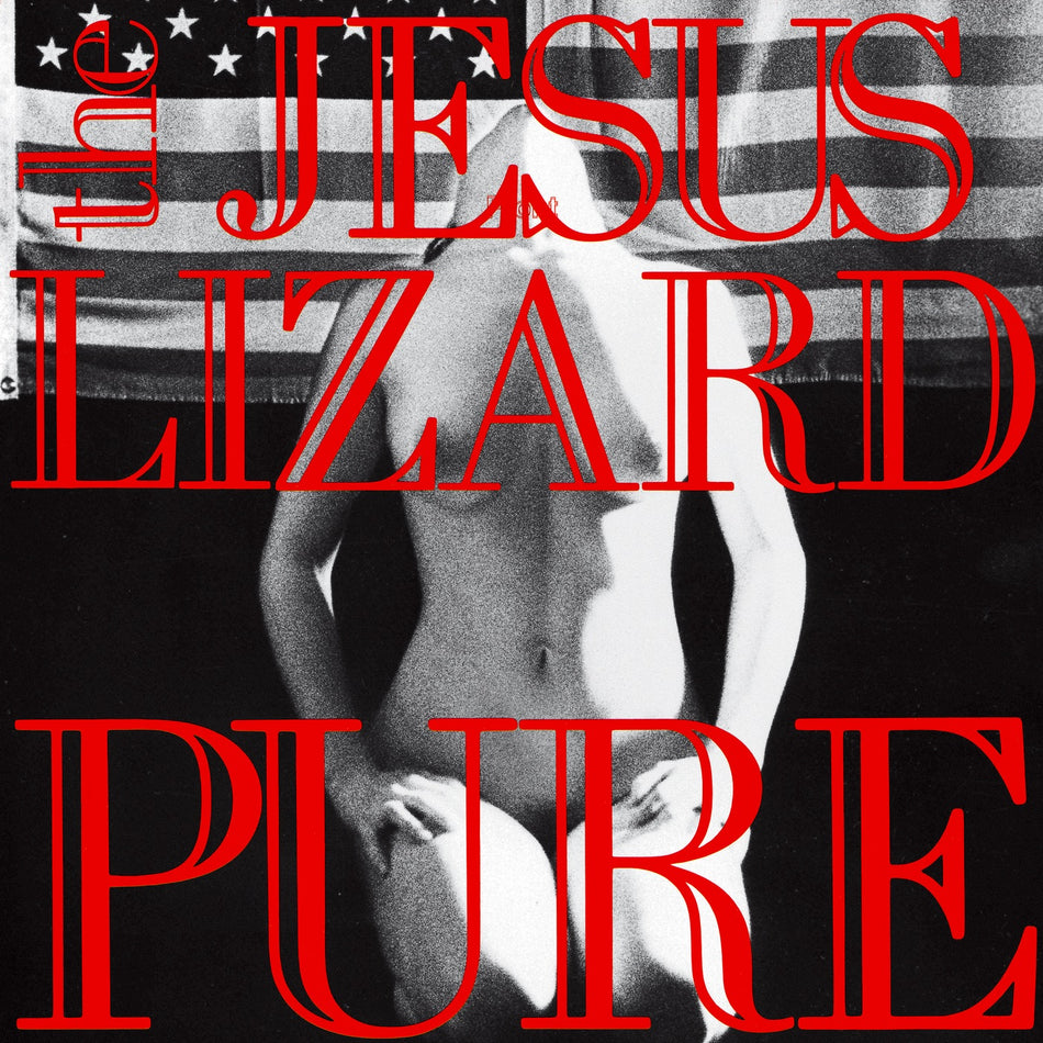 The Jesus Lizard Pure album cover