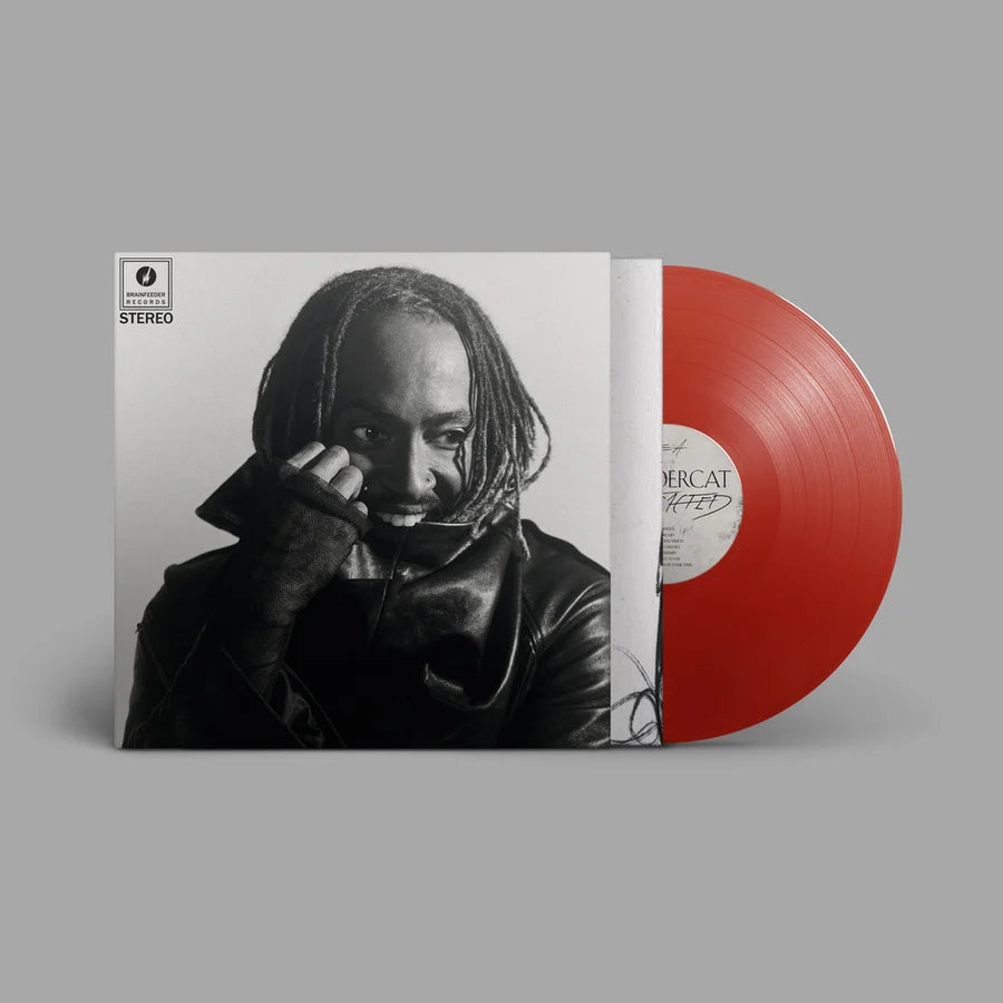 Thundercat - Distracted