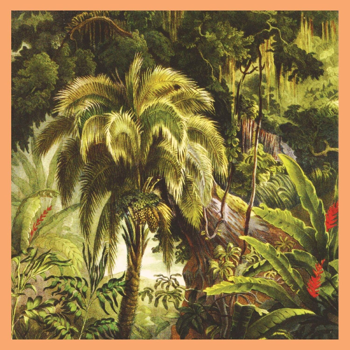 Xiu Xiu - La Foret album cover
