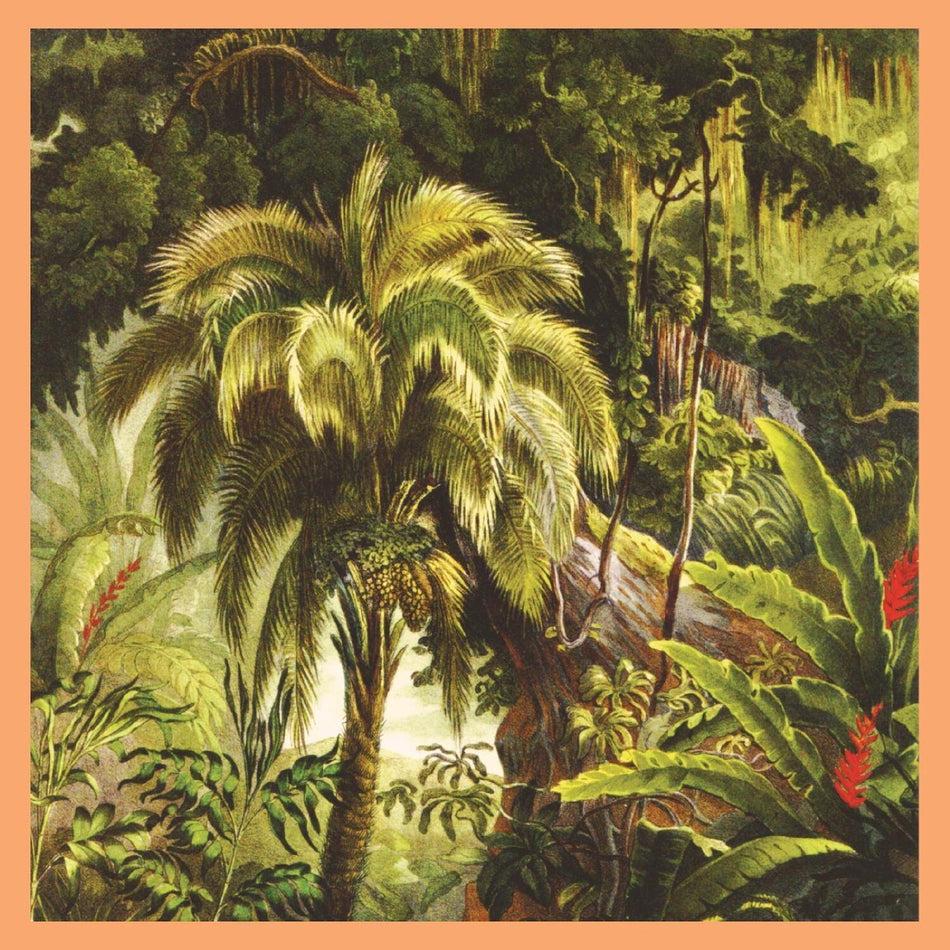 Xiu Xiu - La Foret album cover