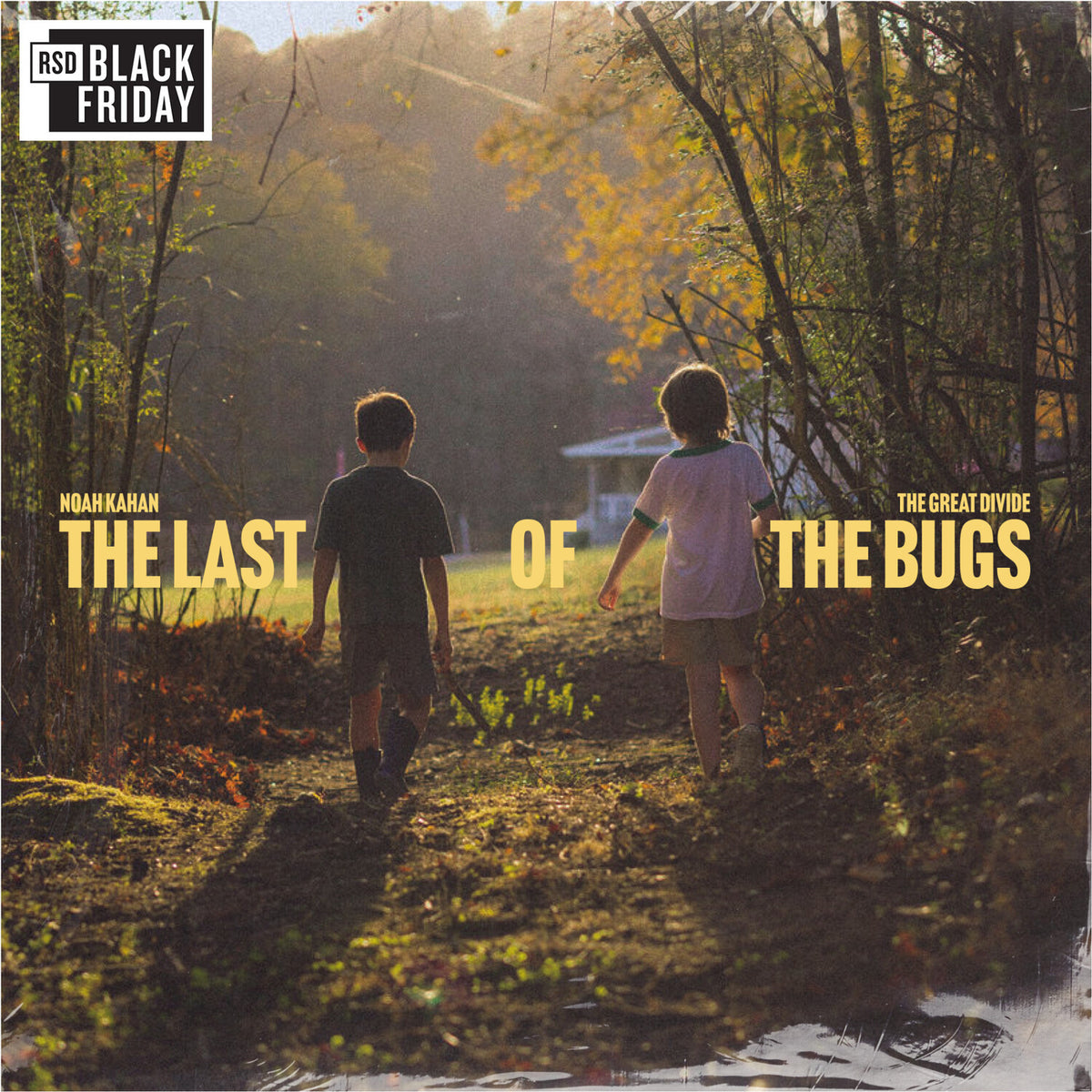 Noah Kahan - The Great Divide: The Last of the Bugs album cover
