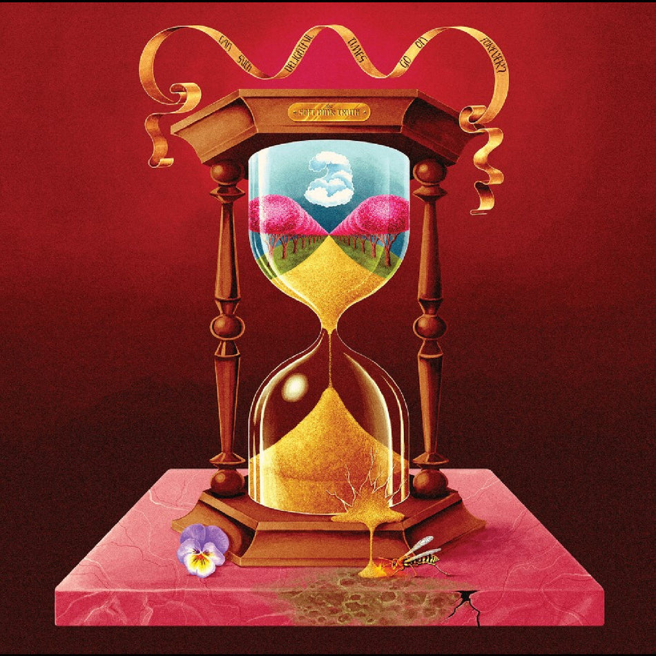 The Soft Pink Truth - Can Such Delightful Times Go On Forever?