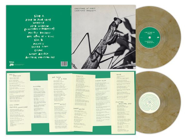 Courtney Barnett - Creature Of Habit