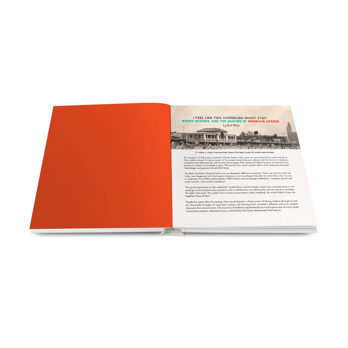 Billy Bragg & Wilco - Mermaid Avenue: The Complete Sessions portfolio book