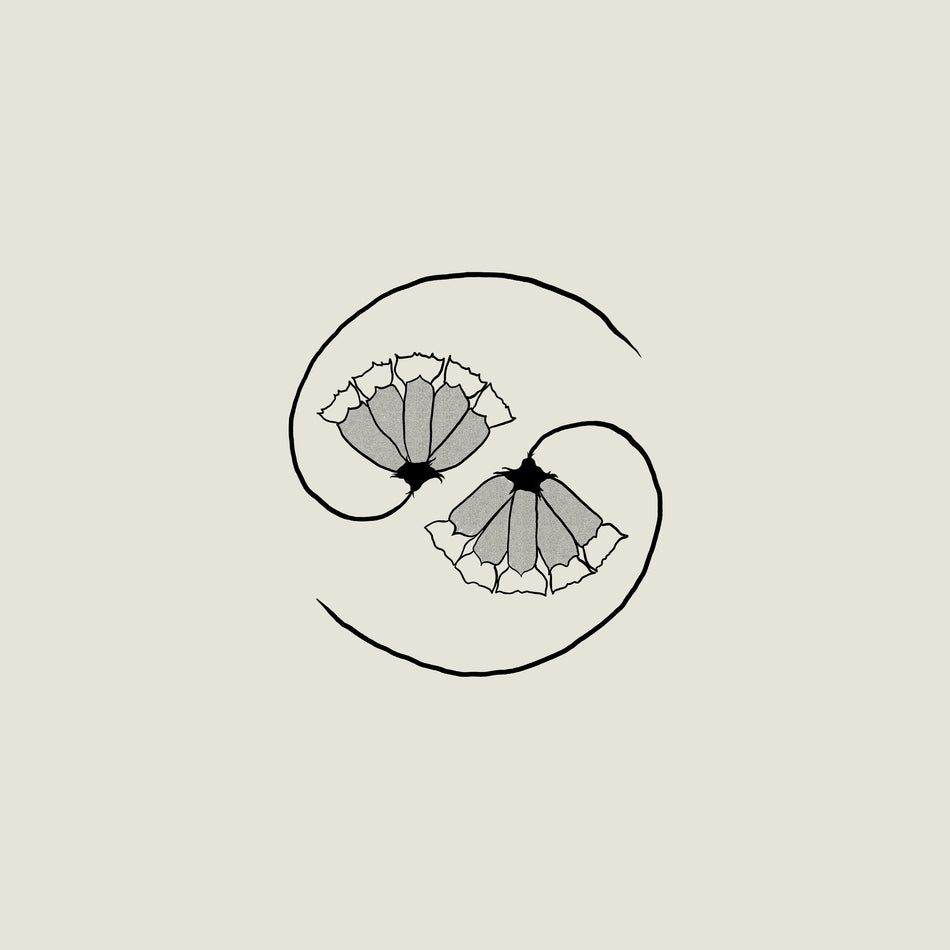 Godspeed You! Black Emperor - G_d's Pee AT STATE'S END!