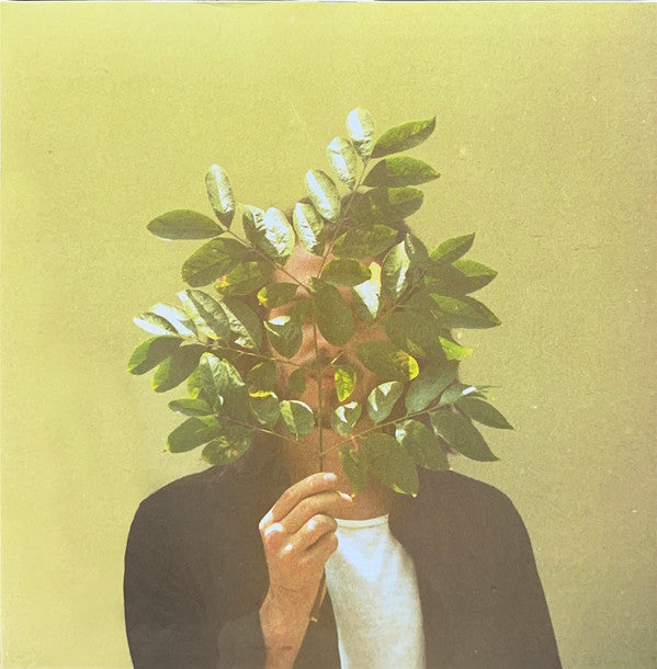 French Kiwi Juice (FKJ) - French Kiwi Juice