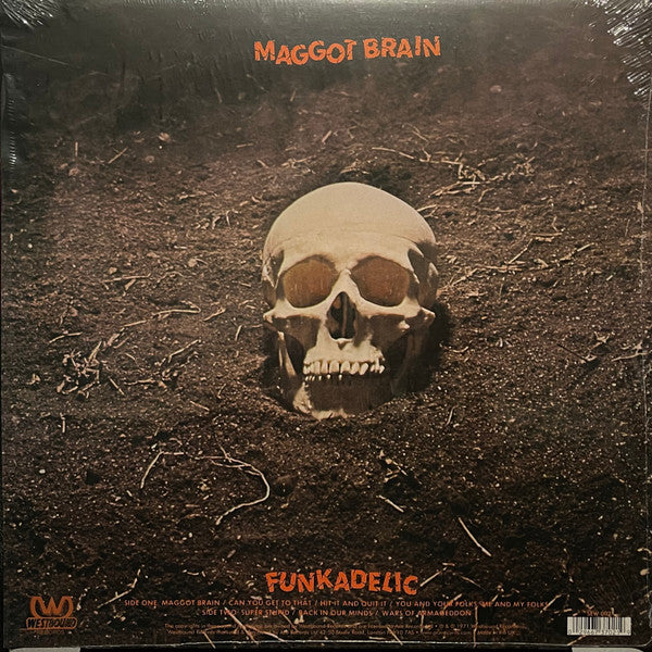 Funkadelic - Maggot Brain