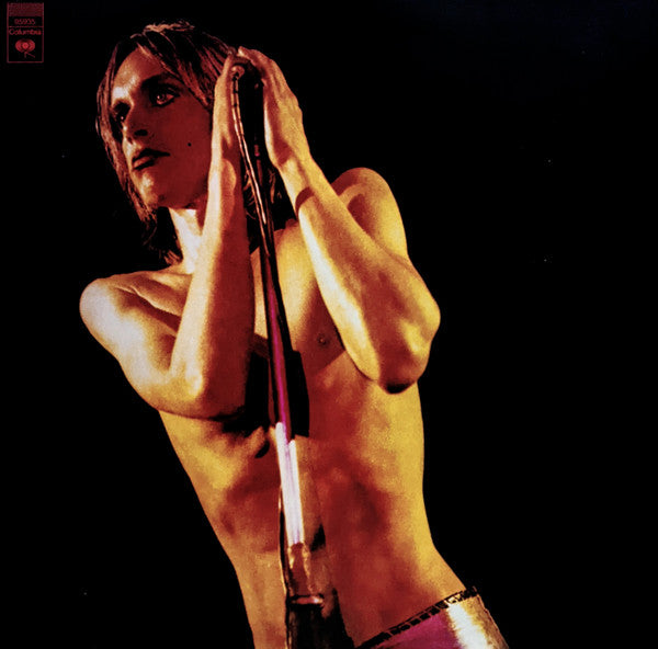 Iggy Pop And The Stooges - Raw Power