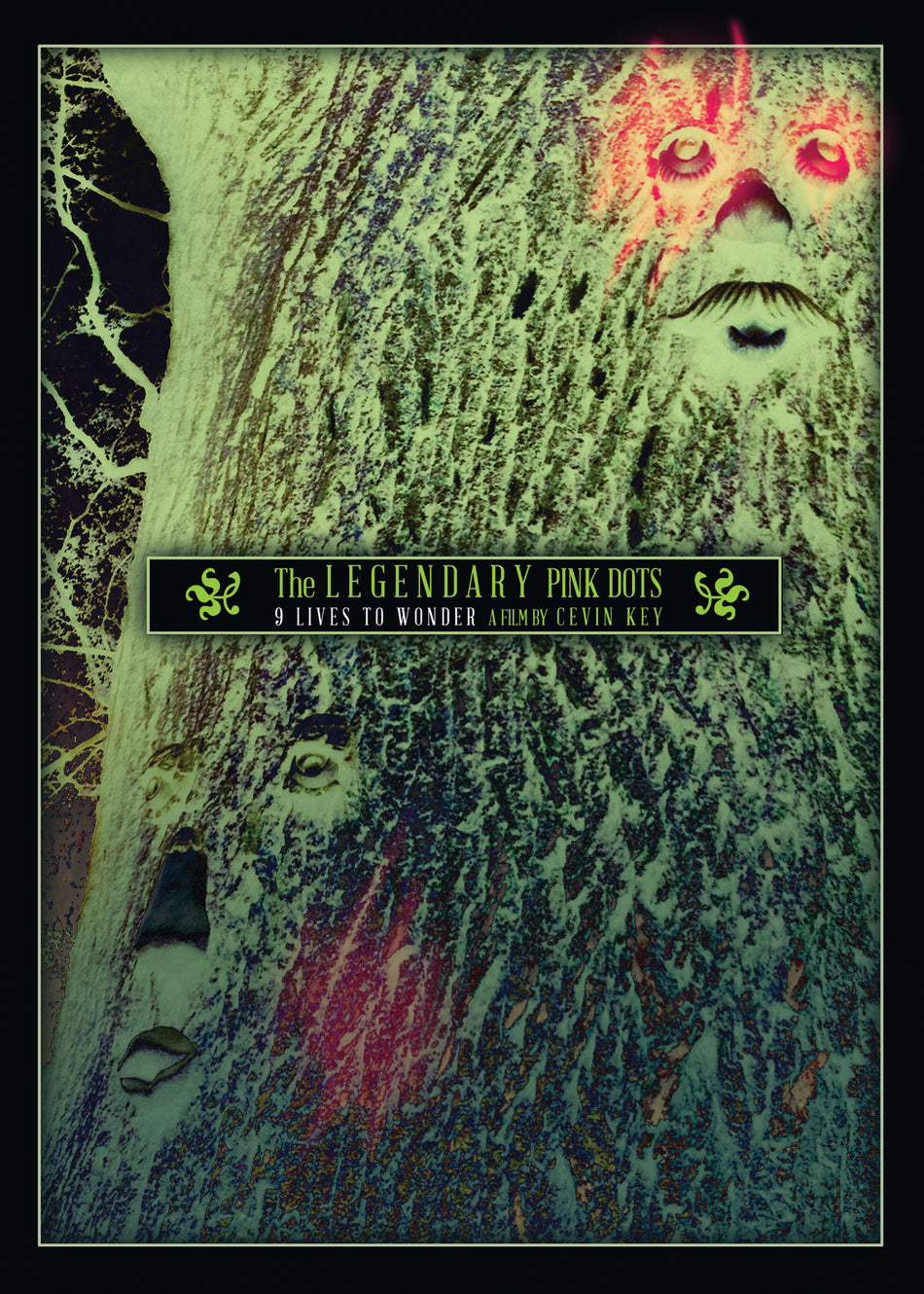 The Legendary Pink Dots - 9 Lives To Wonder: A Film By Cevin Key