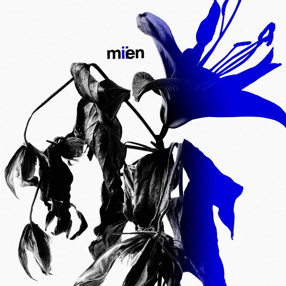 Mien - Miien [Limited Edition, Black & Blue]
