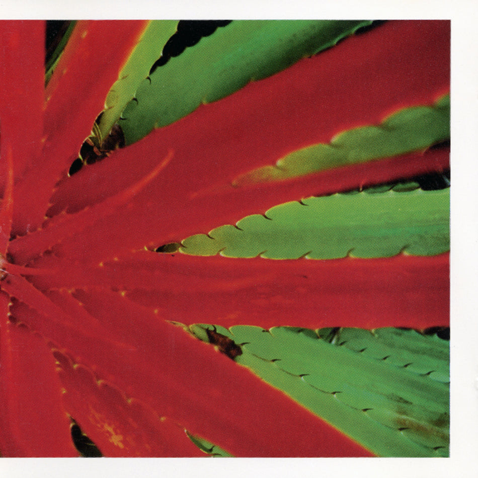 [PREORDER] Jejune - This Afternoons Malady