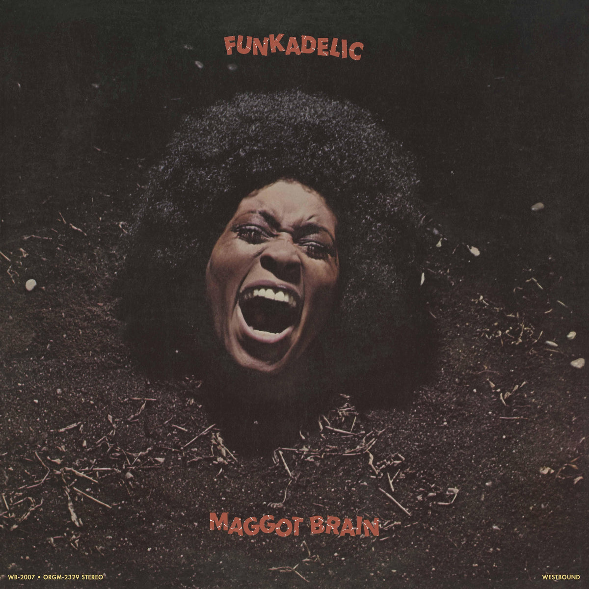 Funkadelic Maggot Brain album cover