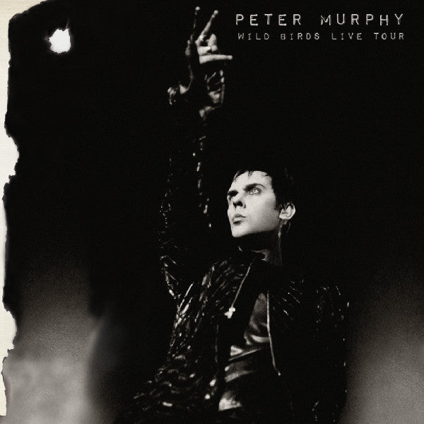 Peter Murphy - Wild Birds Live Tour '16 US white