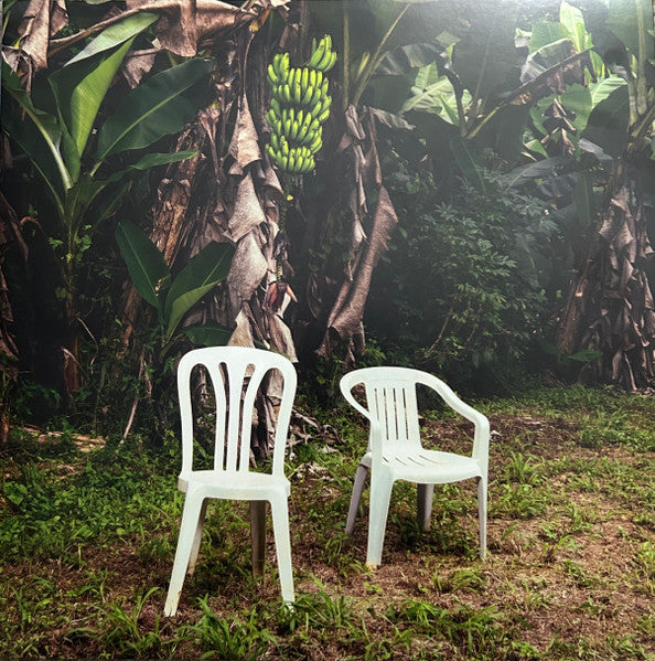 Bad Bunny - Debí Tirar Más Fotos