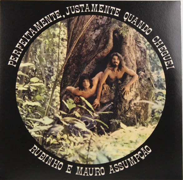 Rubinho E Mauro Assumpção - Perfeitamente, Justamente Quando Cheguei