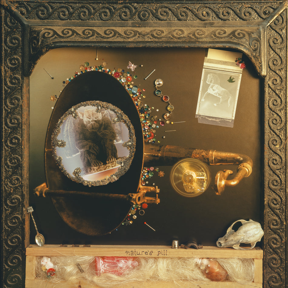[PREORDER] Wishy - Nature's Pill
