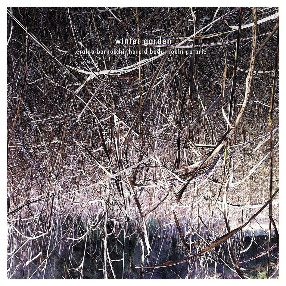 Eraldo Bernocchi, Harold Budd & Robin Guthrie - Winter Garden