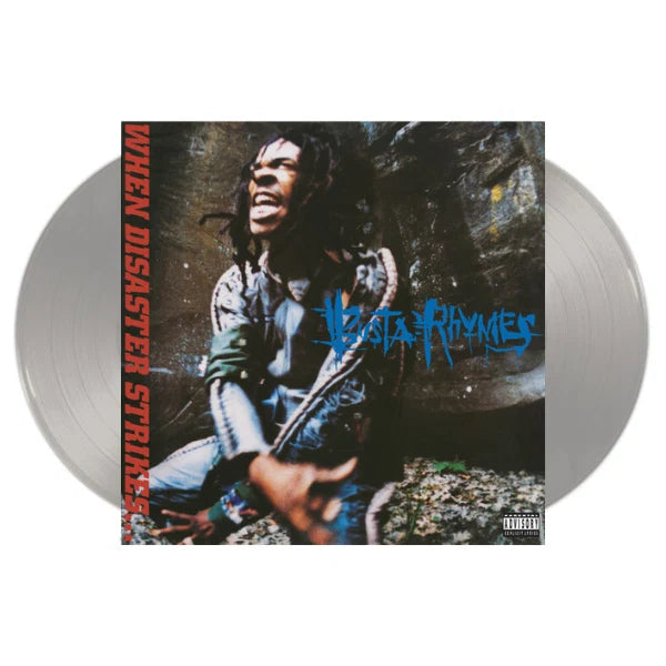 Busta Rhymes - When Disaster Strikes